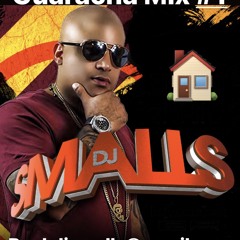 DJ SMALLS GUARACHA MIX 1