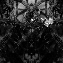 Guest Mix #11 Juanjo Benitez