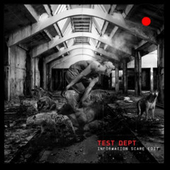 Information Scare (Radio Edit)