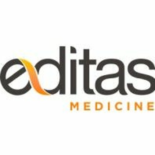 Stream News | Gene Knock-Out, Replacement Therapy for RP-RHO Performed ...