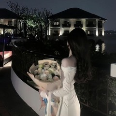 Ngày Chưa Giông Bão Remix
