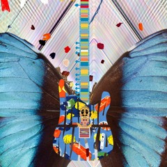 Butterfly Sitar Jam excerpt 2, Feat. Ranjit Makkuni, Sitar
