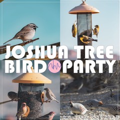 Joshua Tree Bird Party Demo
