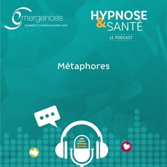 La métaphore du capitaine & du cuisinier #2