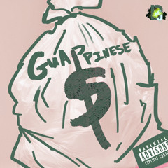 guappinese - money bags [prod: 1dnnny] [@djgren8de + 8teen + dj brief exclusive]