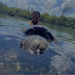 𝒜 ℒ 𝒦 𝒪 ℋ 𝒪 ℒ ♡