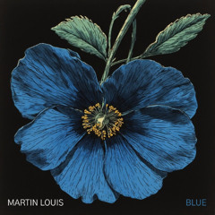 PREMIERE: Martin Louis - Blue