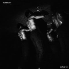 FORTIFYING (Prod. Mizz)