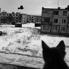 Тебя Хоть Там Любят