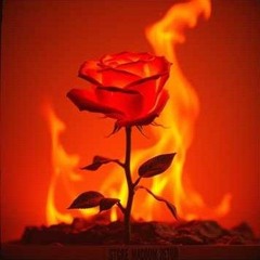 italiano: Harmless as a Rose, Sharp as a Sword