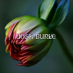 EP - Josh Burke - Catatonic Lover [MY01]