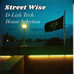 Steet Wise - Tech House Selection
