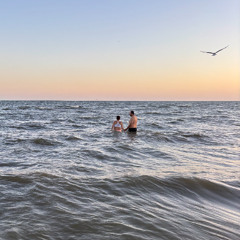 to Have and to Hold