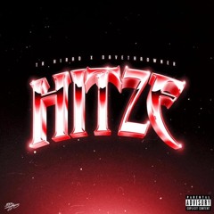 HITZE FT. TR Hirad