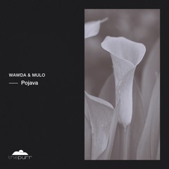Wawda & Mulo - Pojava (Original Mix)