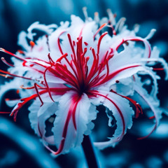 Toxin