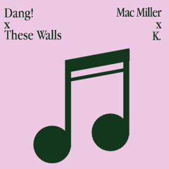 Dang! x These Walls
