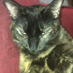 Some other cool playlist