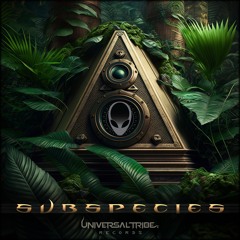 Illusions Of Consciousness (Original Mix)