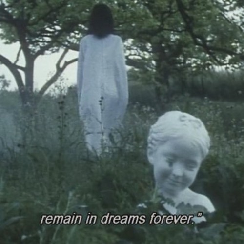 Into pieces