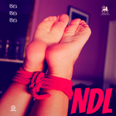 CF Premiere: NDL - Bei Bei Bei [Discos Prohibidos]