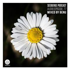 Seeberge Podcast - AE077