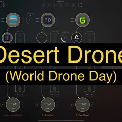 Desert Drone