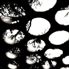 No Tail Wags us Dogs Forever! //  21 Triumph 120bpm, Deep All In The House Remix /