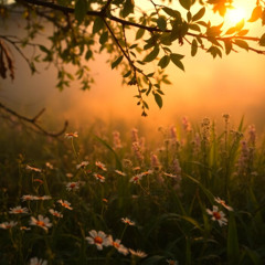 The Still Vale. Unusual Cosmic Process - Awakening Chimes (Demo cut)