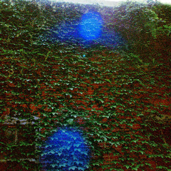 euard - butterfly tatoo (godparticle remix)