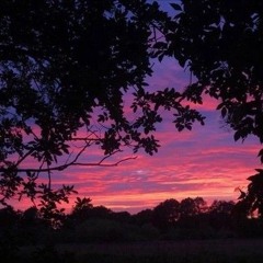 Ты забрала моё сердце