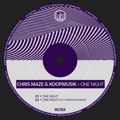 Chris Maze & Koopmusik - One Night (Original Mix)