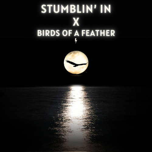 Stumblin' In x Birds of a Feather - CYRIL x Billie Eilish (Mashup)