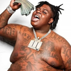 TEXAS BIGXTHAPLUG(BR4Y FLIP)