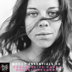 Moody Essentials 50 ~ #ProgressiveHouse #MelodicTechno Mix