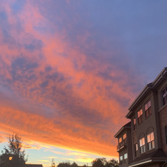 every day 1/2 freestlye prod. unknown