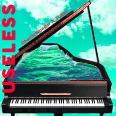 Useless (CharlieWonder X TOBER Remix)