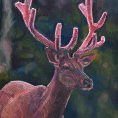 Scarlet Caribou Ribs