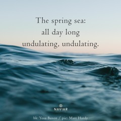 haiku #456: The spring sea: / all day long / undulating, undulating.