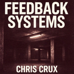 Feedback Systems V1