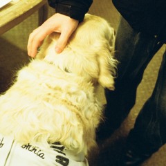 swim (rough adoy cover)