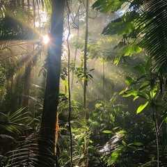 Straight Outta Jungle - GLO, 2SEE, JustRaw