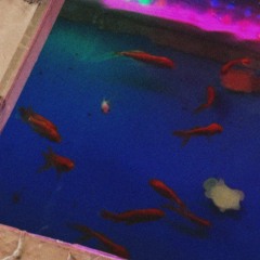 cover)miso-slow running