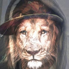 Cowardice Life