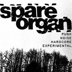 KZYX spareorgan Radio Show 011