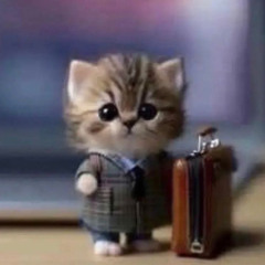 ocena niedostateczna