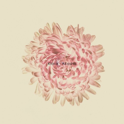 MNMT Premiere: Klara –  Inhabitants From The Swarm