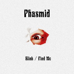 PREMIERE: Phasmid - Find Me