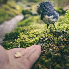 God is to be Trusted