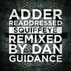Shen- Dan Guidance Remix Edit